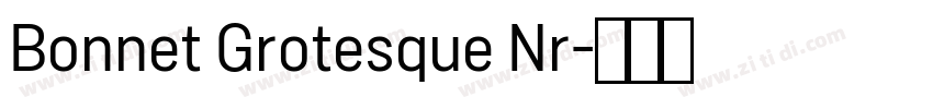 Bonnet Grotesque Nr字体转换